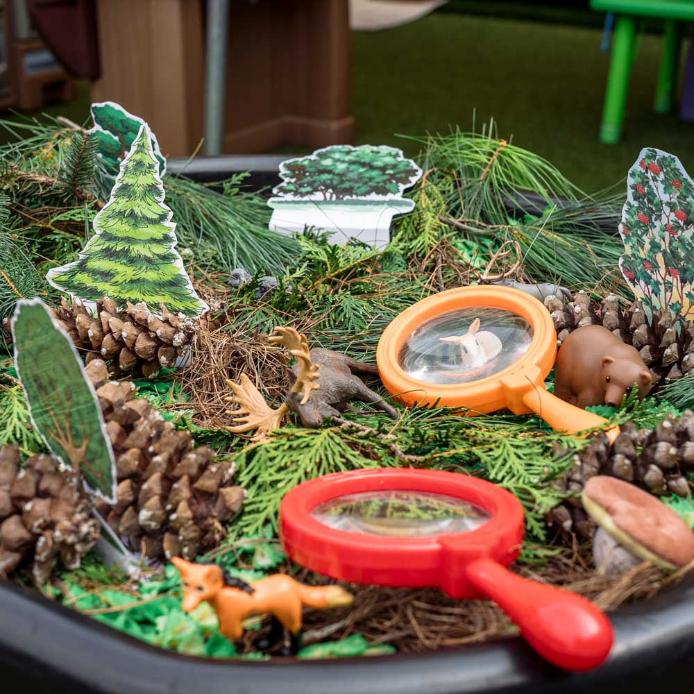 Nature and science exploration area for young children at Baby Genius Daycare in Langhorne